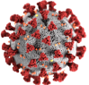 SARS-COV2 model